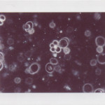 DF5