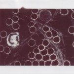 DF8