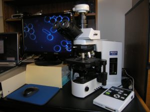 Online LBM/CBM Course and Refresher Course