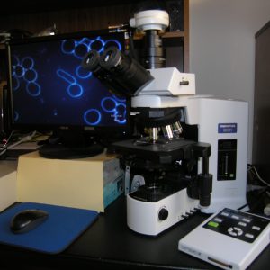 Online LBM/CBM Course and Refresher Course