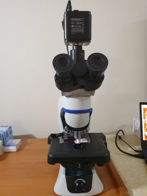 Ultimate CX-43 Microscope and Online Course