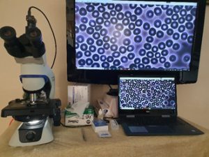 Economy CX-43 LBM/CBM Blood Microscope System and Online Course