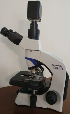 Ultimate CX-43 Microscope and Online Course - Image 2